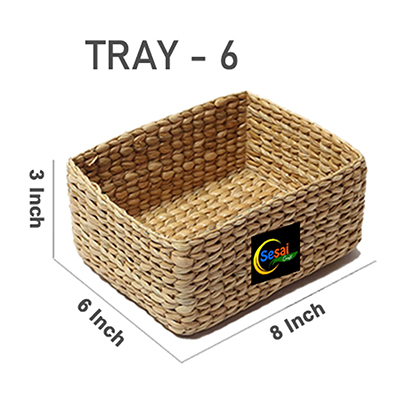 Tray - 06